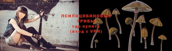 спиды Абдулино